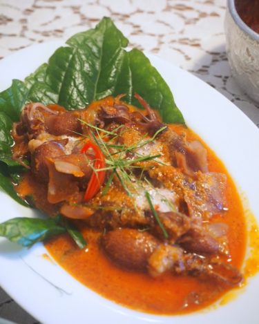 ホタルイカが美味しい季節、レッドカレーソース煮込みを作ろう！