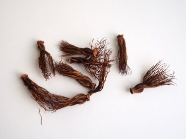 木棉のガク（ドークギュウ/ดอกเงี้ยว）