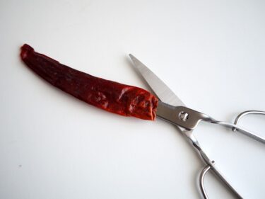 プリックチーファーヘン（พริกชี้ฟ้าแห้ง）