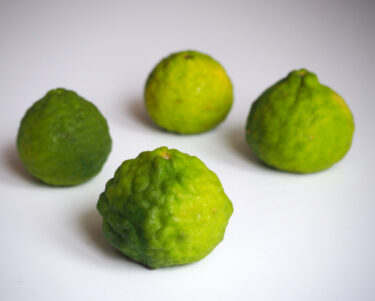 こぶみかん（マクルー/มะกรูด）